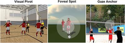 Perception and Action in Sports. On the Functionality of Foveal and Peripheral Vision